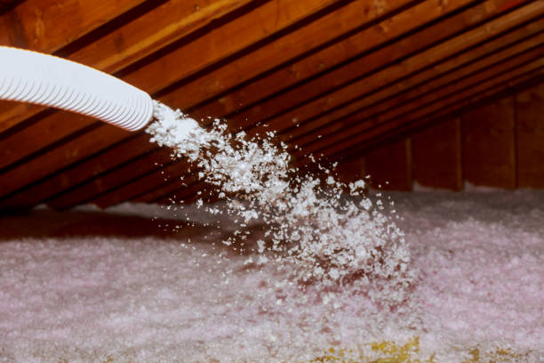 Best Insulation for Specific Applications in Diamond Springs, CA