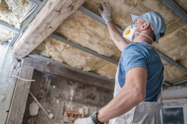 Best Residential Insulation in Diamond Springs, CA